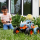 Hot Wheels Monster Trucks Rhinomite Mega Transformacja 1:12 - 1164342 - zdjęcie 6